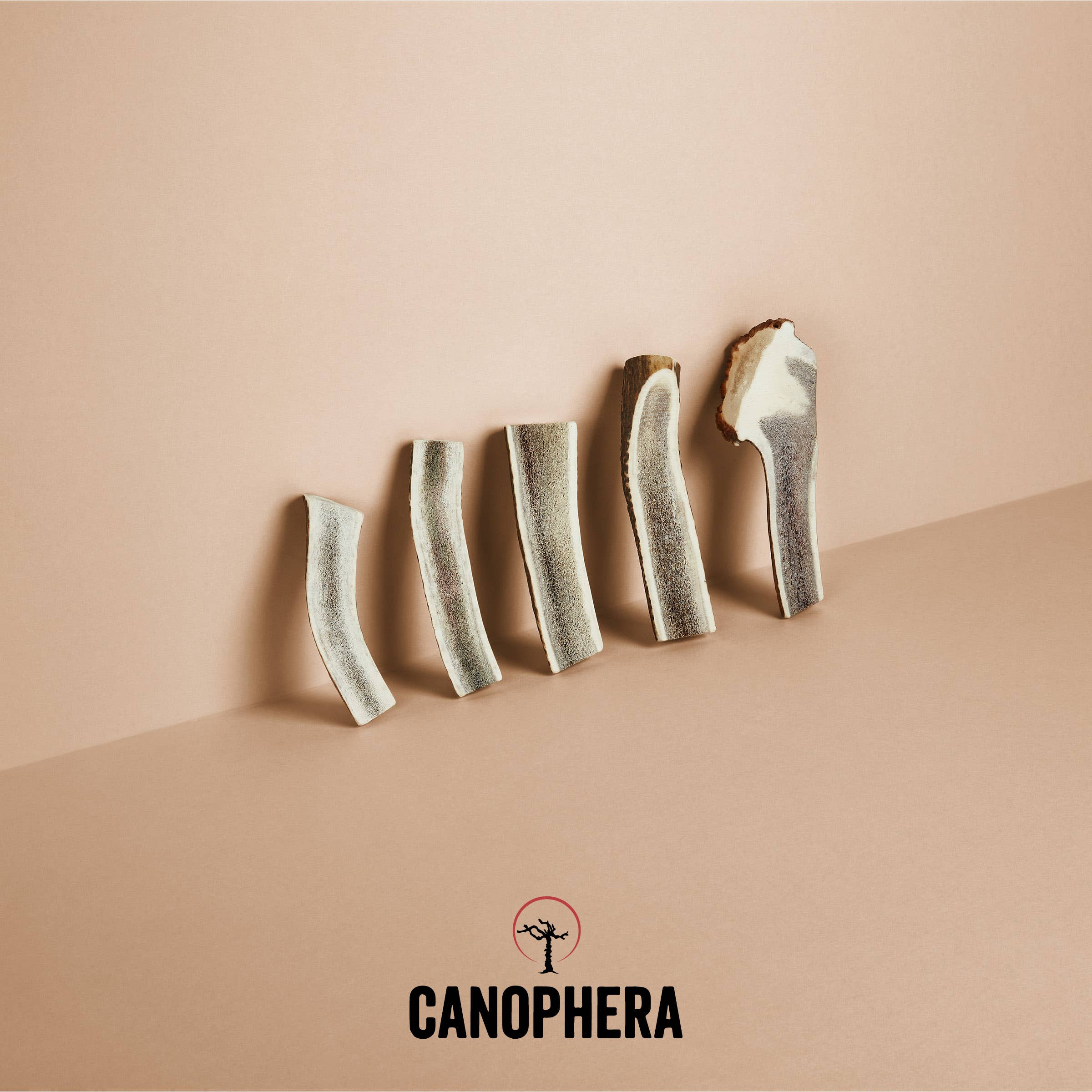 π¦ Split Red Deer Antler Chews