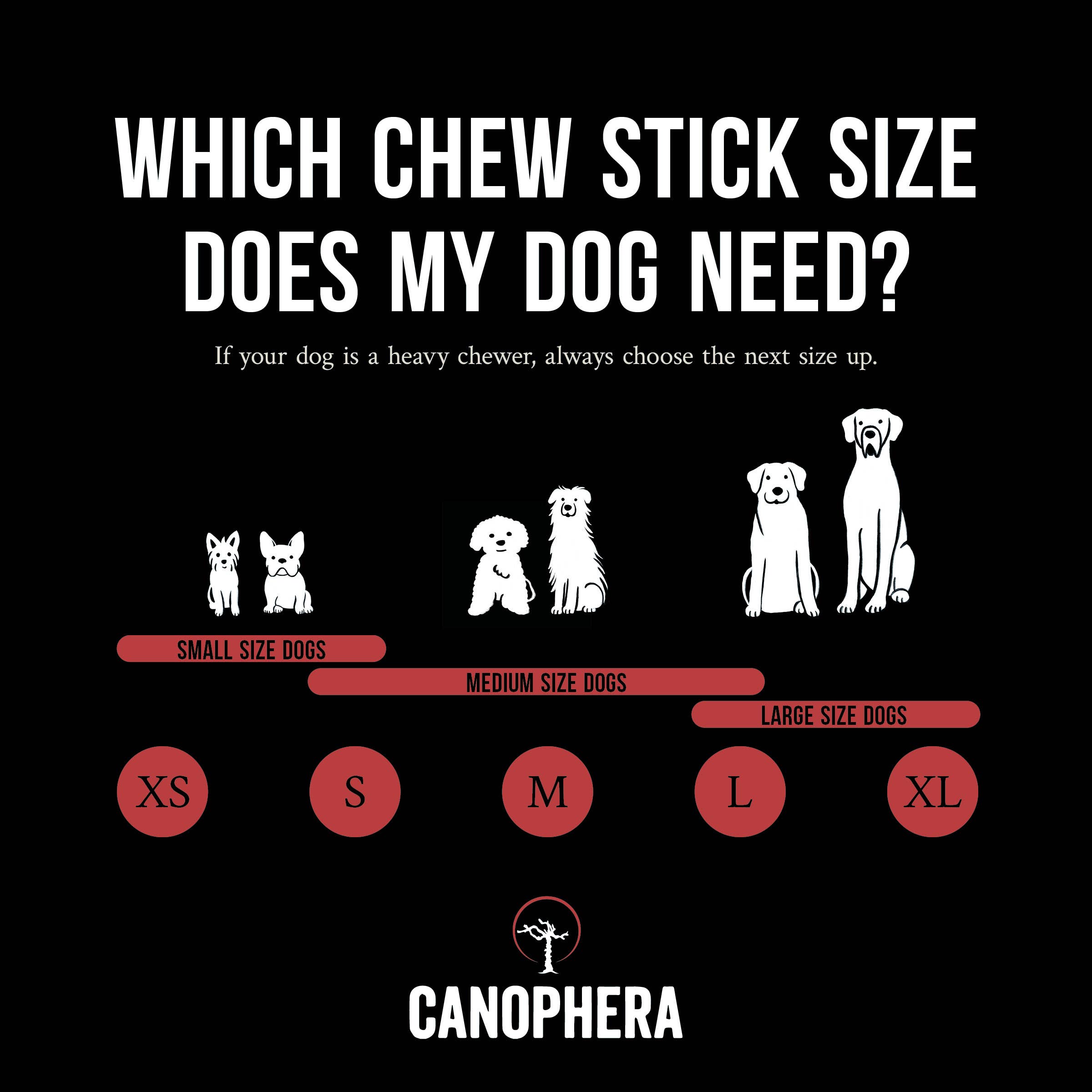 π¦ Split Red Deer Antler Chews