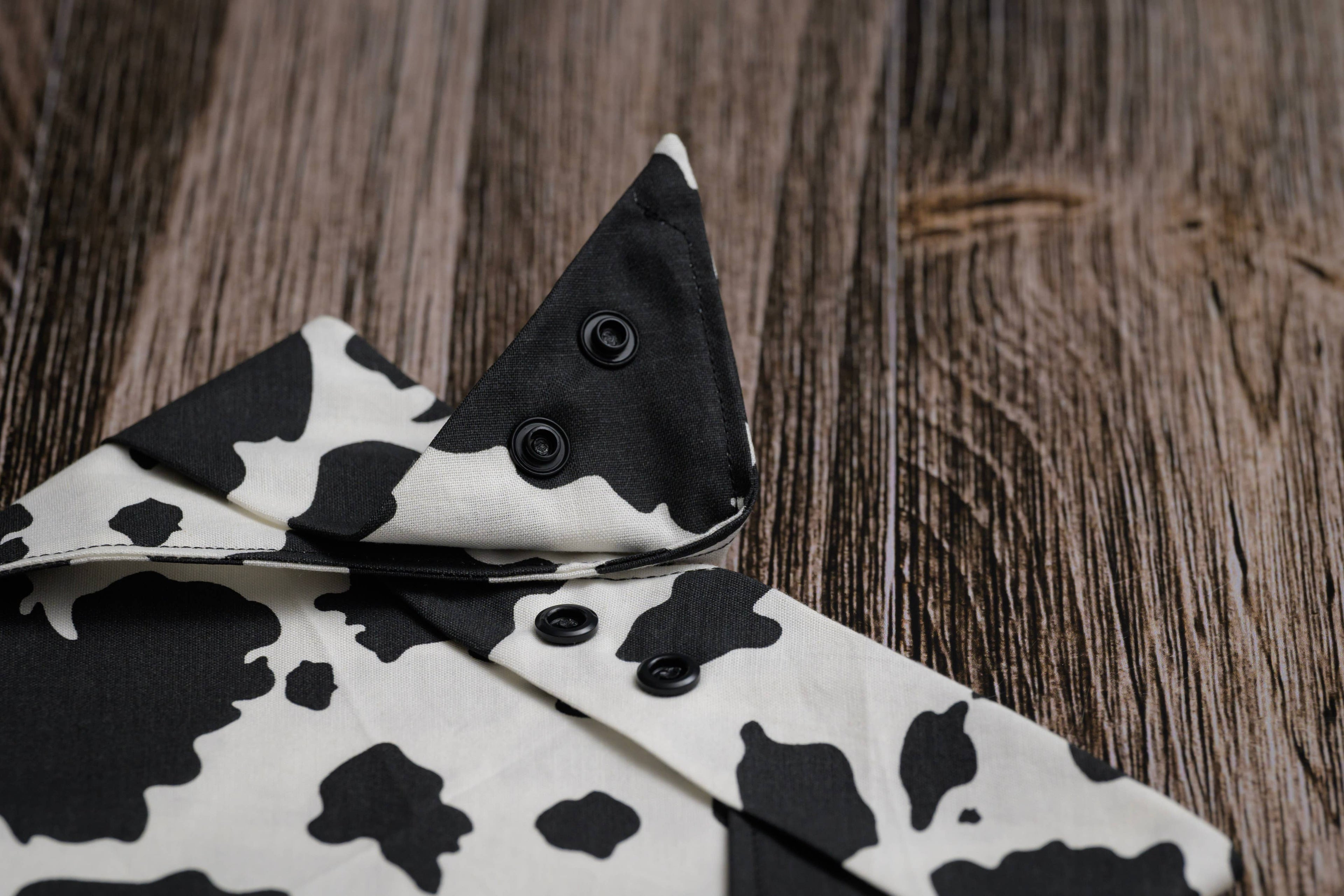Dairy Dreams Dog Bandana