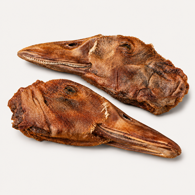 Freeze-Dried Duck Heads