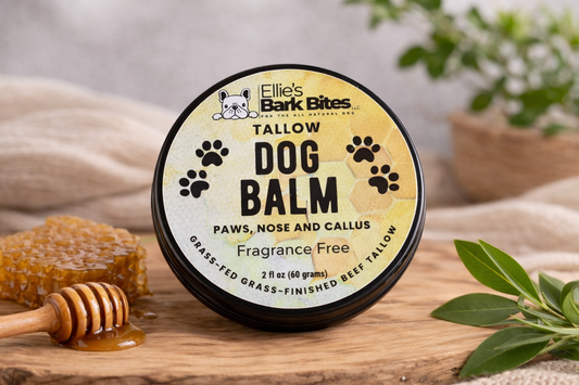 Tallow Dog Balm – Paws, Nose & Callus Care