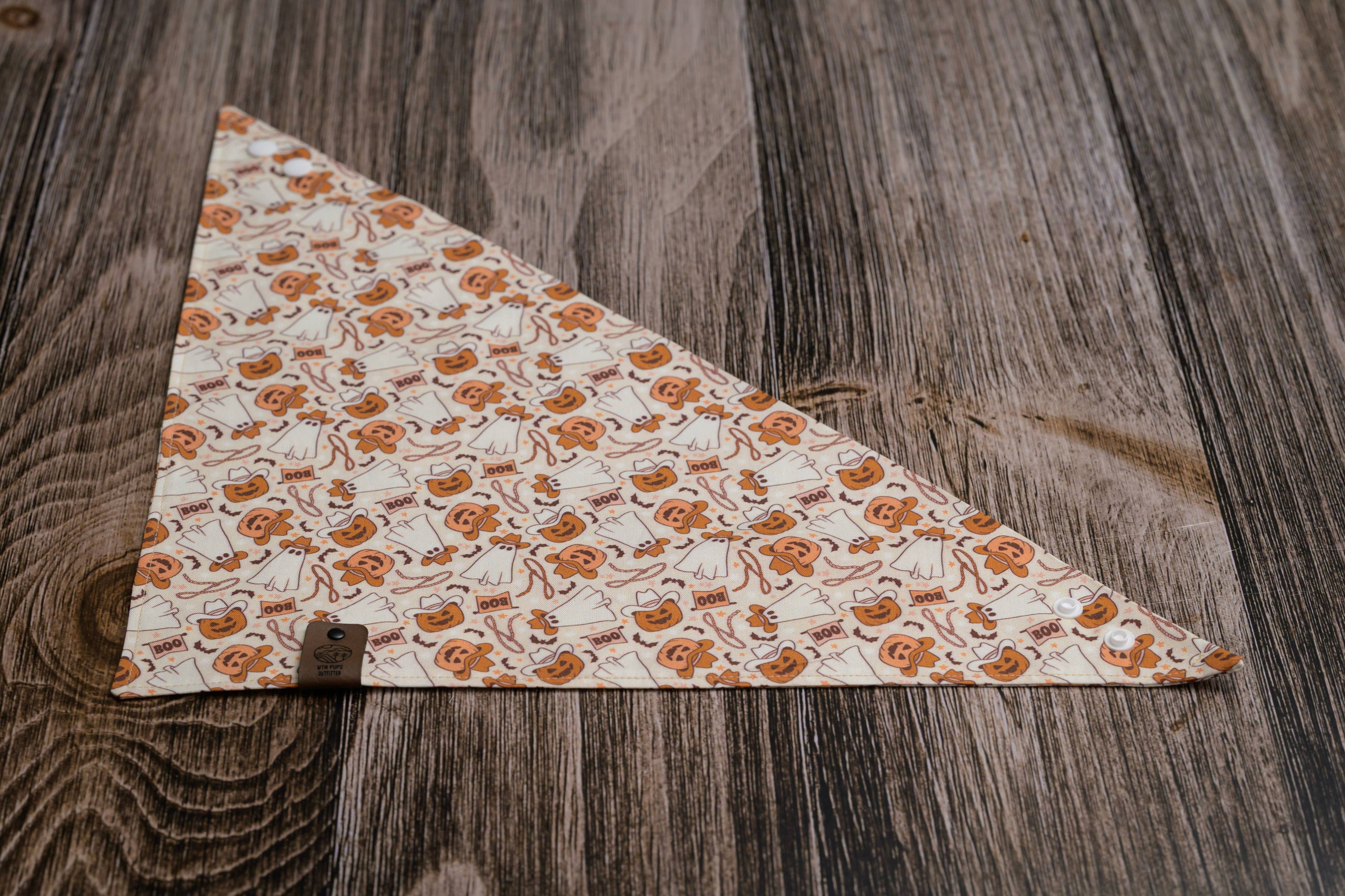 Howdy Boo Dog Bandana