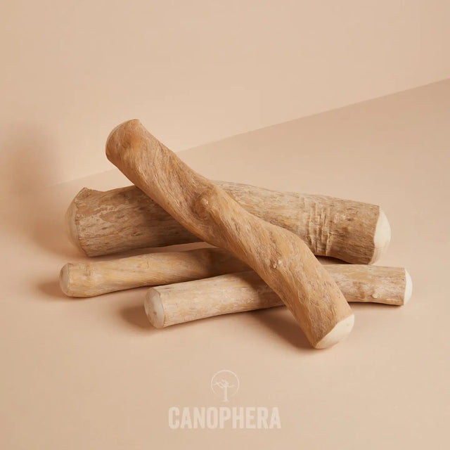Coffee Wood Stick Dog Chew