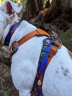 ⛰️ Handcrafted Midnight Sun Dog Collar 🐾