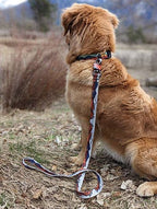 🏔️ Handcrafted Wanderlust Dog Leash 🐾