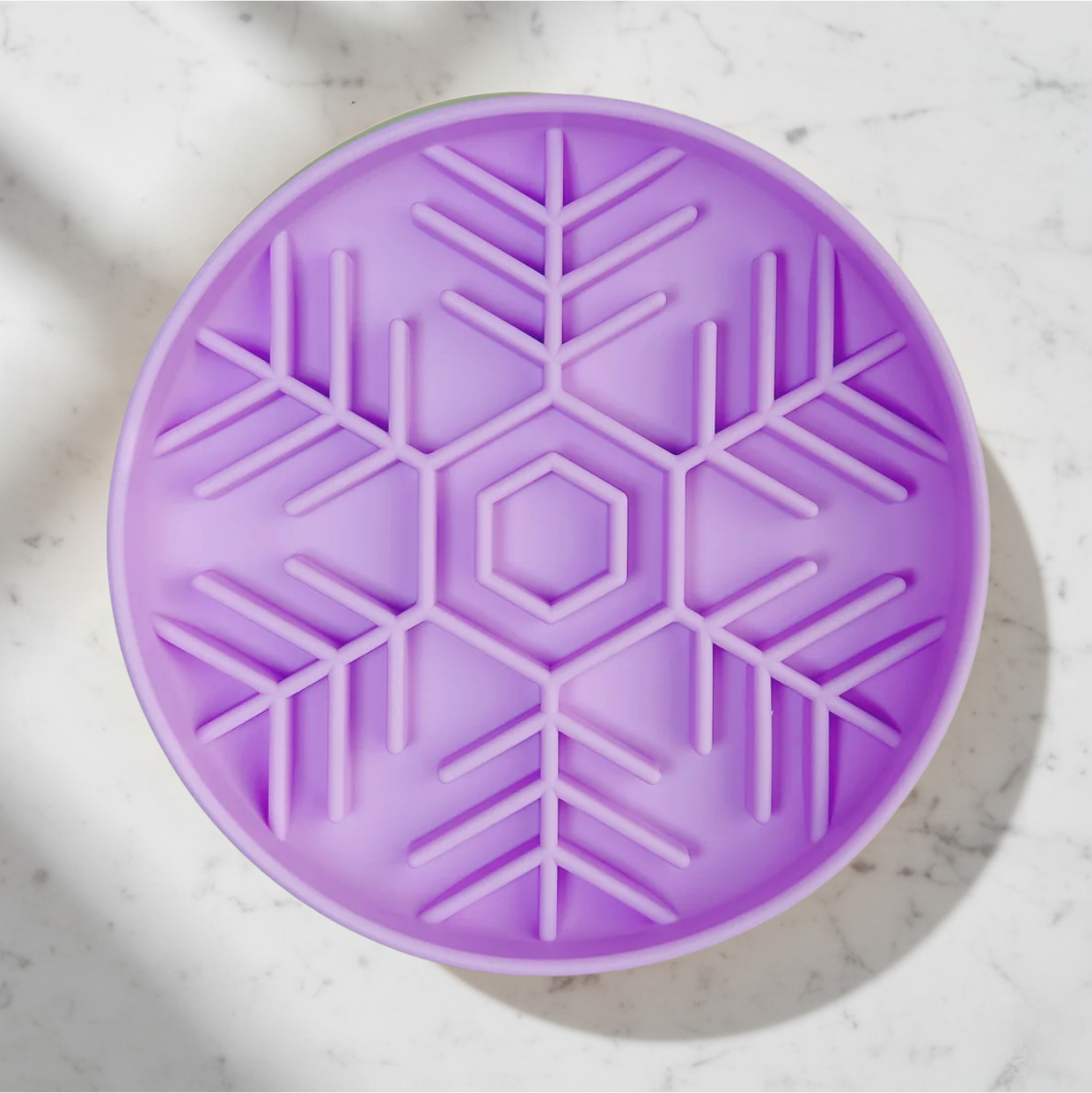 Winter Wounder Land ❄️ Slow Feeder