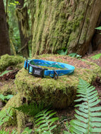 ⛰️ Handcrafted West Coast Dog Collar 🐾