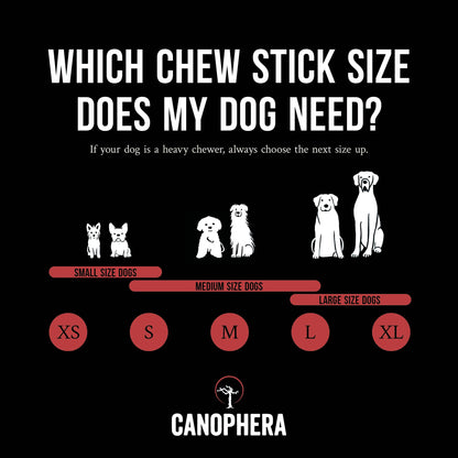 Split Red Deer Antler Chews