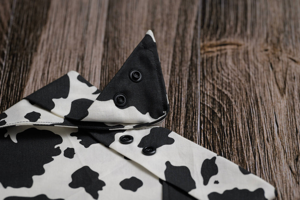 Dairy Dreams Dog Bandana