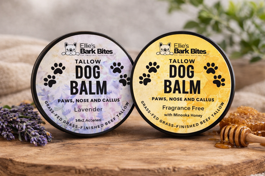 Tallow Dog Balm – Paws, Nose & Callus Care
