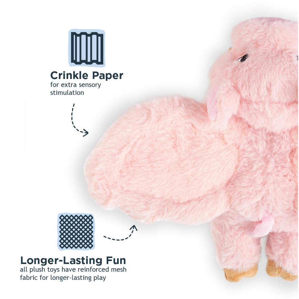 Pig Fling and Fetch Toy For Dogs