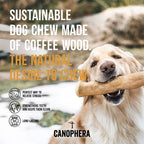 Coffee Wood Stick Dog Chew