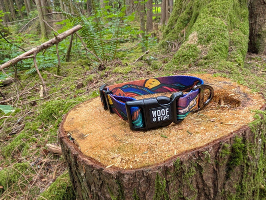 ⛰️ Handcrafted Midnight Sun Dog Collar 🐾