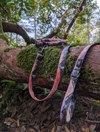 Sunrise Peaks Waterproof Leash