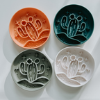 Desert Dinner 🌵🍴Cactus Slow Feeder