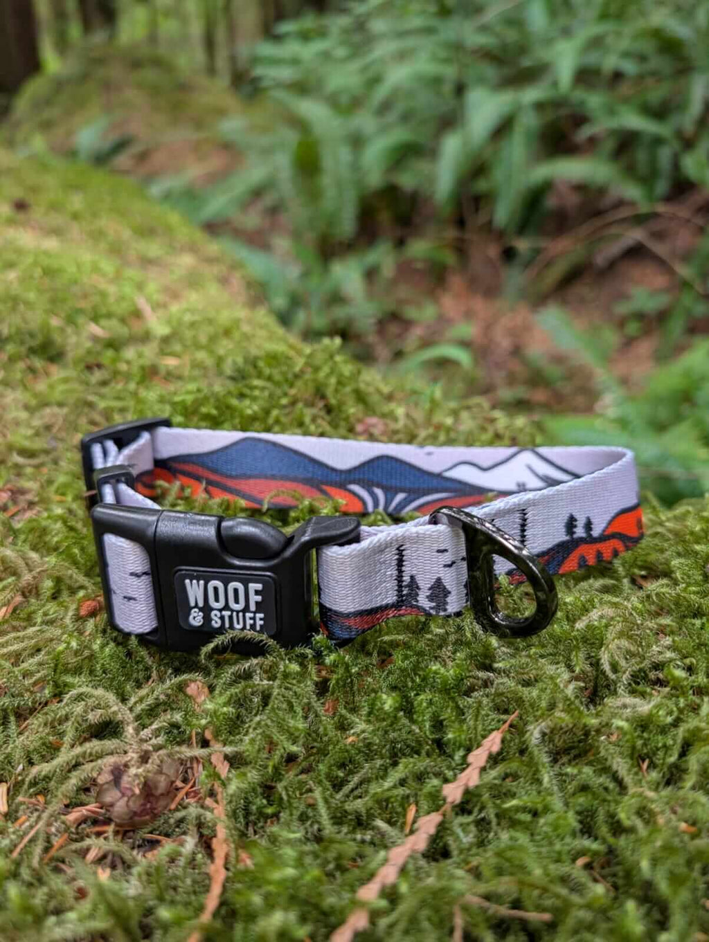 ⛰️ Handcrafted Wanderlust Dog Collar 🐾