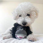 Gorilla 2-in-1 Fetch Ball Dog Toy