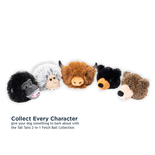 2-in-1 Fetch Ball Dog Toy
