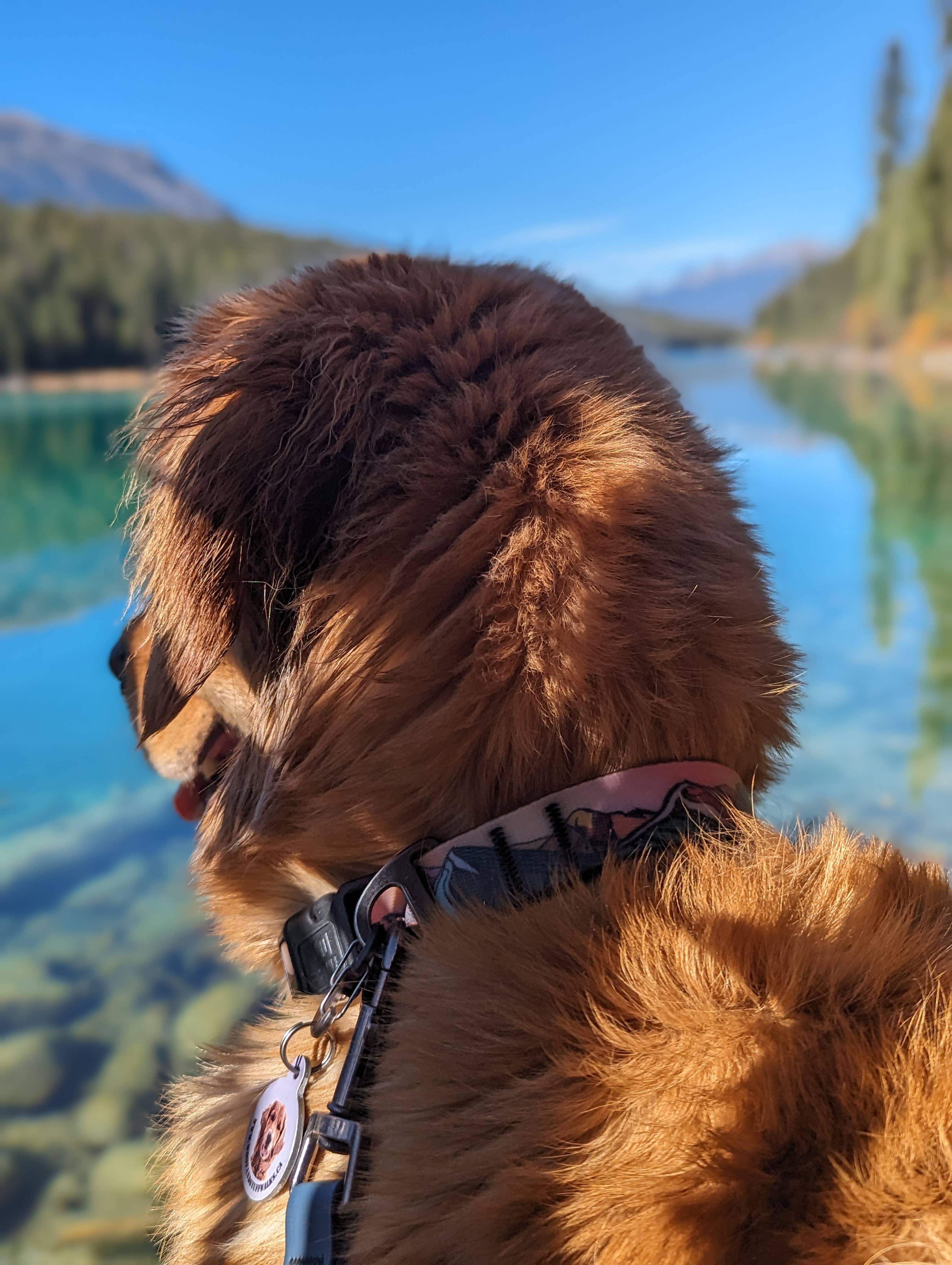 Sunrise Peaks Waterproof Collar