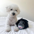 Gorilla 2-in-1 Fetch Ball Dog Toy