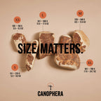 Briar Root Dog Chews