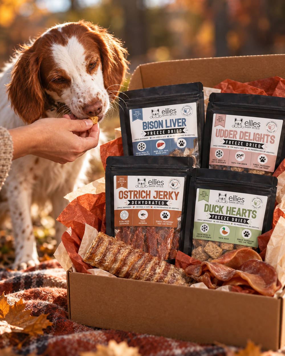 Ellie’s Pure Protein Box