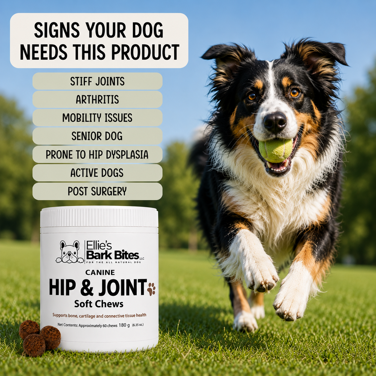 HIP & JOINT Soft Chews