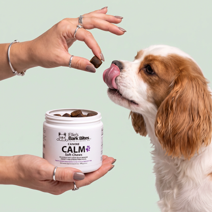 CALM Soft Chews