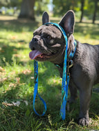 🏔️ Handcrafted West Coast Dog Leash 🐾