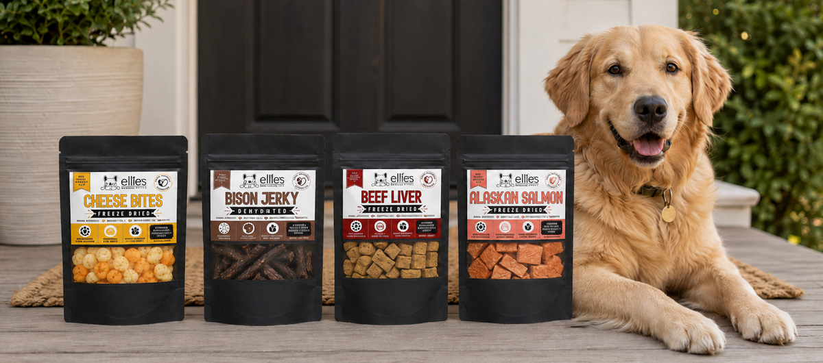 A labrador beside the Ellie's Bark Bites lineup — cod skins, chicken hearts, salmon, bacon & eggs and PB&J