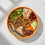 Wanderbowl 🐕‍🦺🍴Slow Feeder