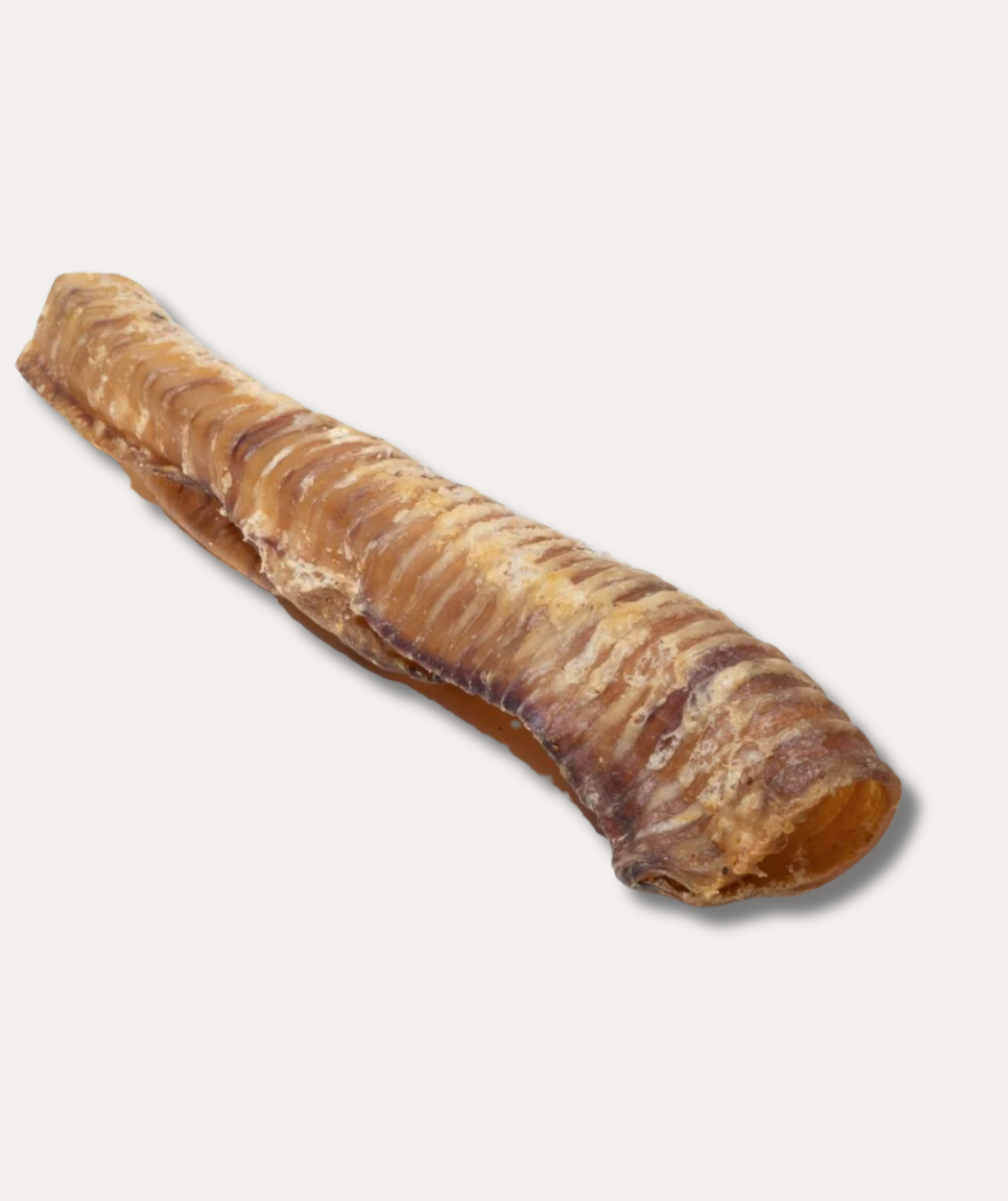 12" Beef Trachea