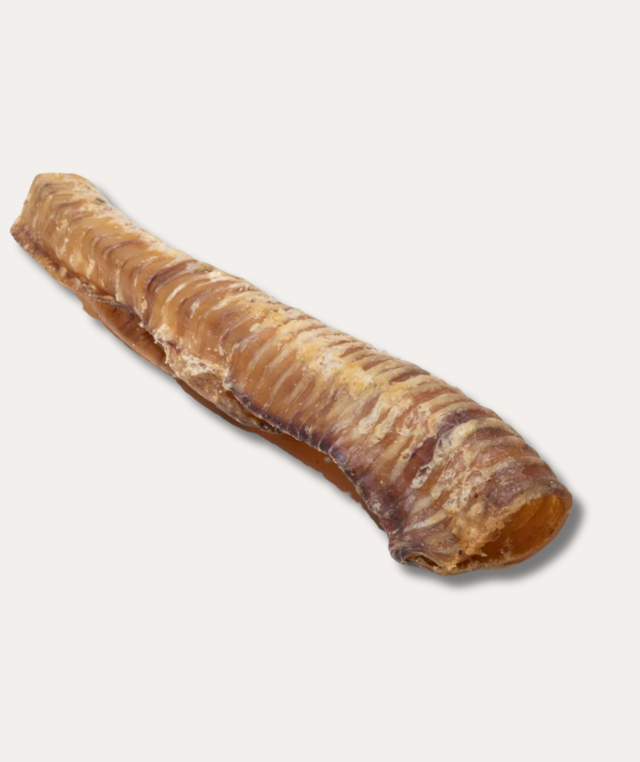 12" Beef Trachea