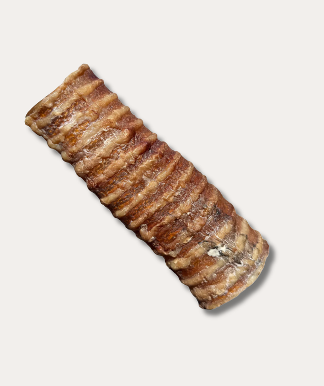 6" Beef Trachea