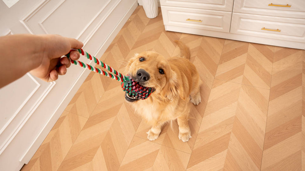 Natural Rubber Pinecone Treat-and-Tug Dog Toy