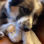 Yeti Latex Squeaker Dog Toy