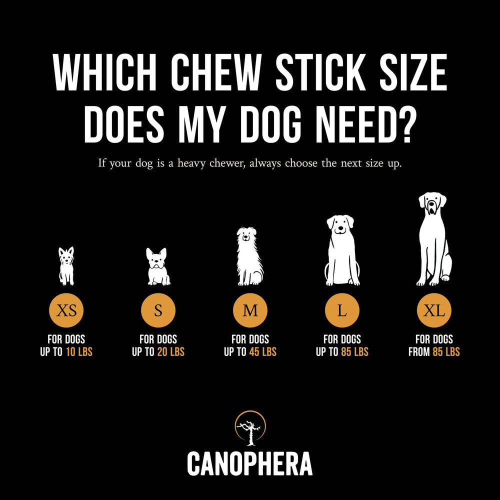 Coffee Wood Stick Dog Chew