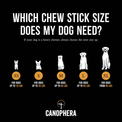 Coffee Wood Stick Dog Chew