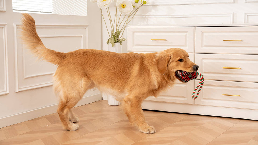 Natural Rubber Pinecone Treat-and-Tug Dog Toy