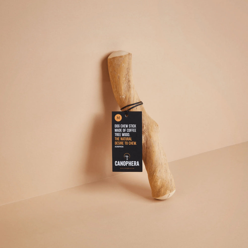 Coffee Wood Stick Dog Chew