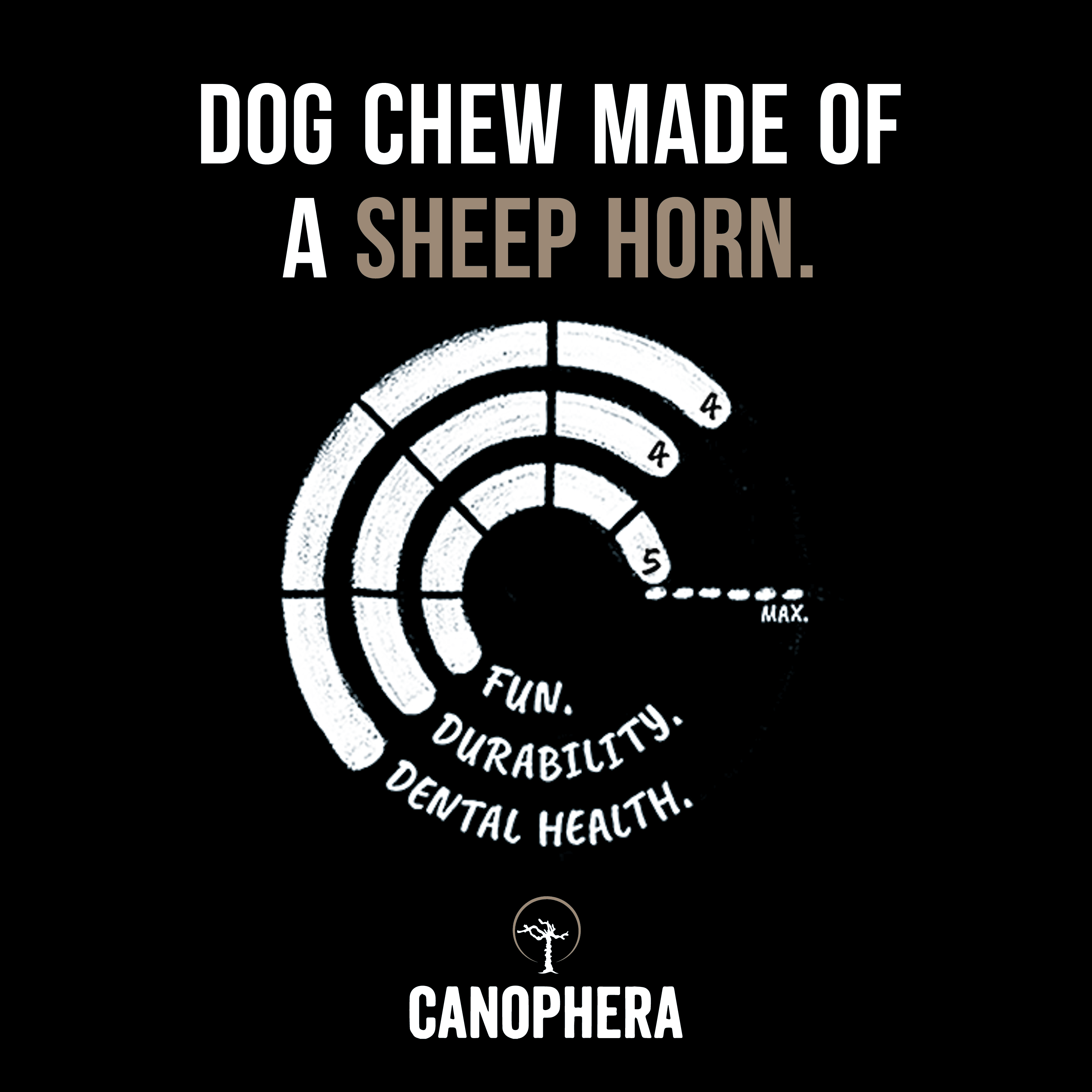 Sheep Horn Chews