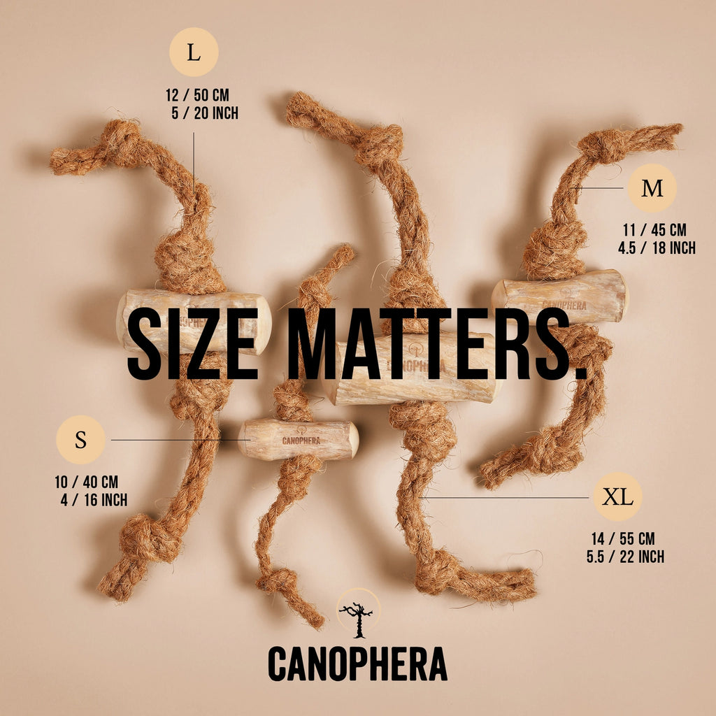 Coffee Wood + Coconut Rope Chews