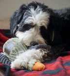 Tall Tails Plush Duck Squeaker Toy - 12"