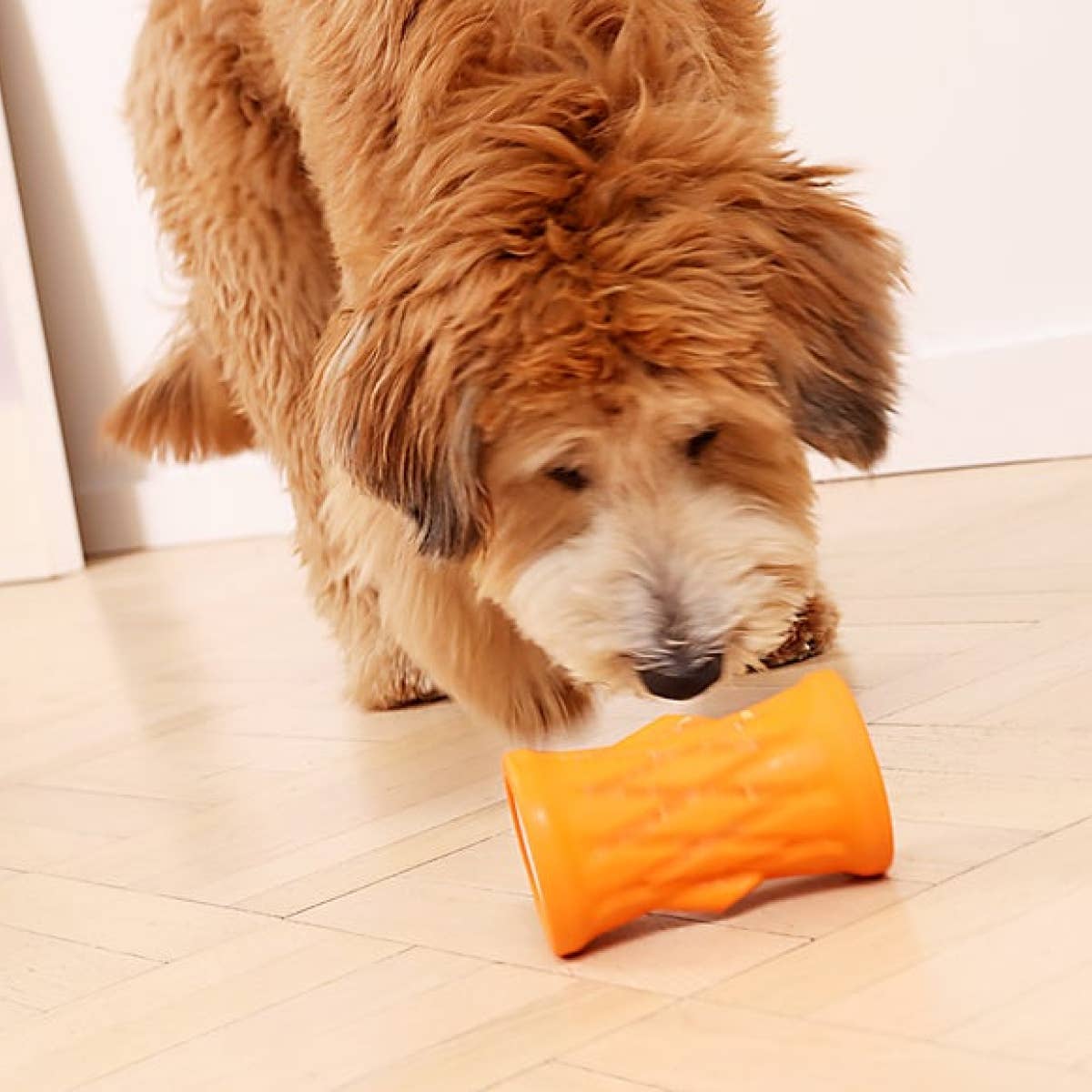 Natural Rubber Tree Trunk Reward Dog Toy