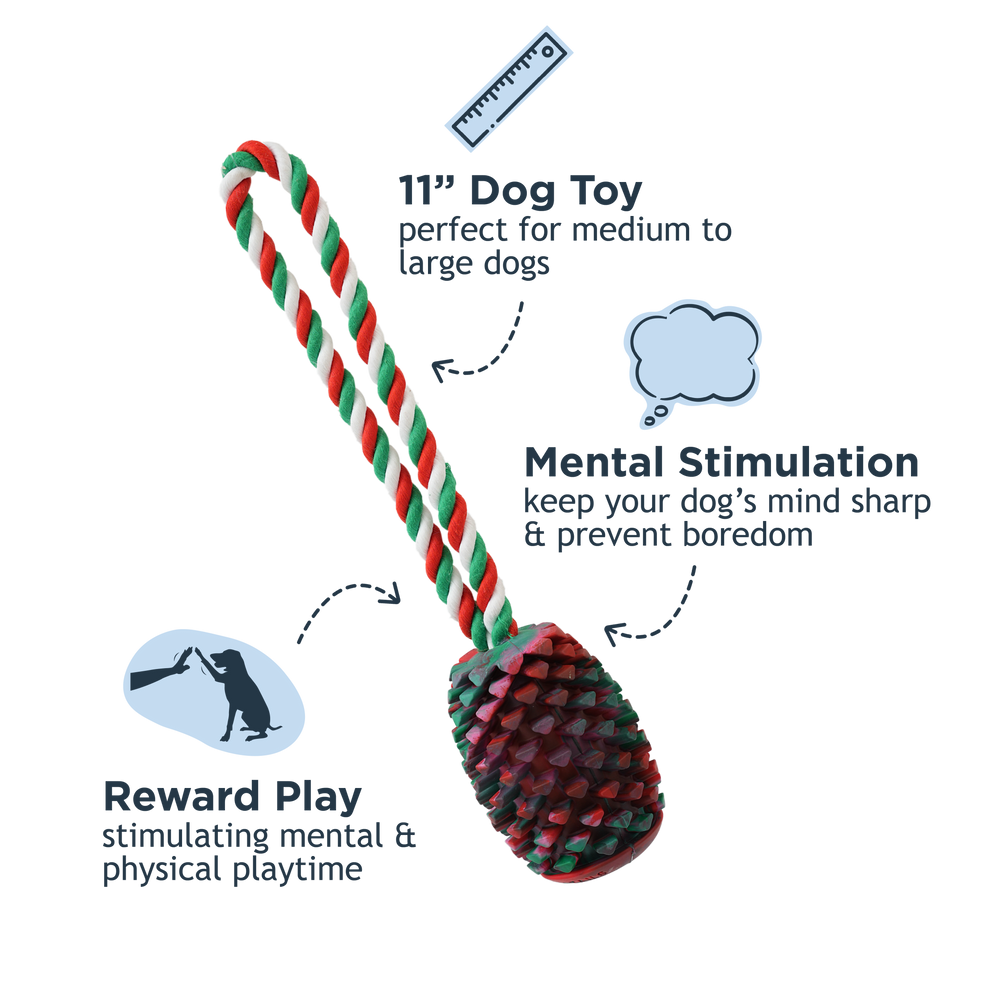 Natural Rubber Pinecone Treat-and-Tug Dog Toy
