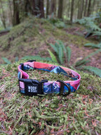 ⛰️ Handcrafted Sunrise Peaks Dog Collar 🐾