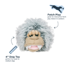 2-in-1 Fetch Ball Dog Toy